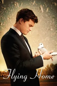 Aşkın Kanatları izle