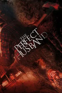 The Perfect Husband izle