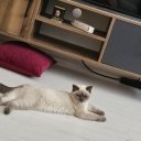 arastunademir adlı kullanıcı